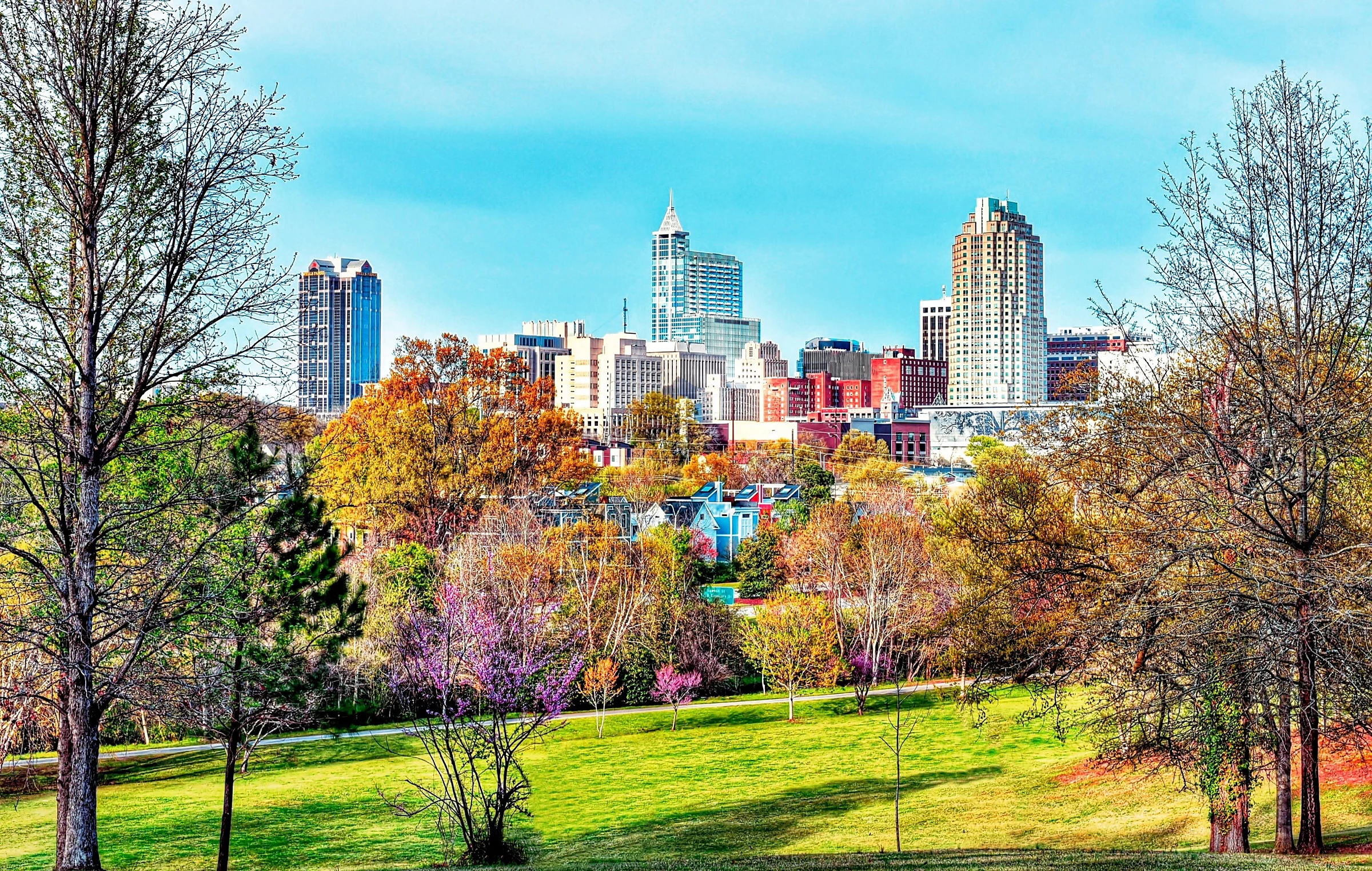 Downtown Raleigh skyline in spring